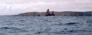 The Drongs, a set of sea-stacks on the way south.