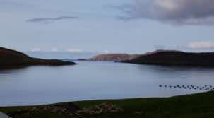  A still evening at the end of Aith voe, with Muckle Roe beyond.