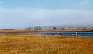 Autumn colour in Yell.
							