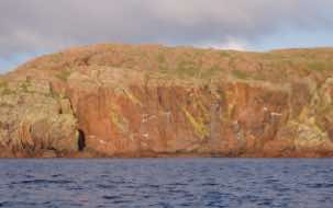 The red cliffs of Muckle Roe.